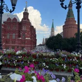 Instagram-Worthy Tours
