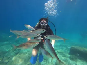 Marmaris Full-Day Scuba Diving Adventure 