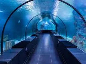 Istanbul Aquarium Tour: Explore the Wonders of the Sea