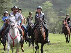 Istanbul Horse Riding Tour