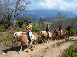 Antalya Horse Riding