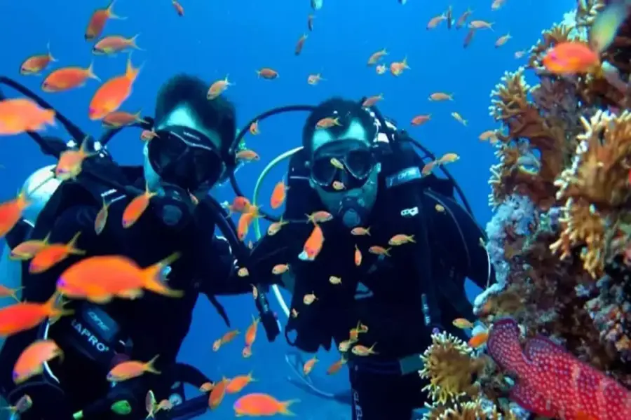 Discover the Underwater Wonders with Alanya Diving Tour