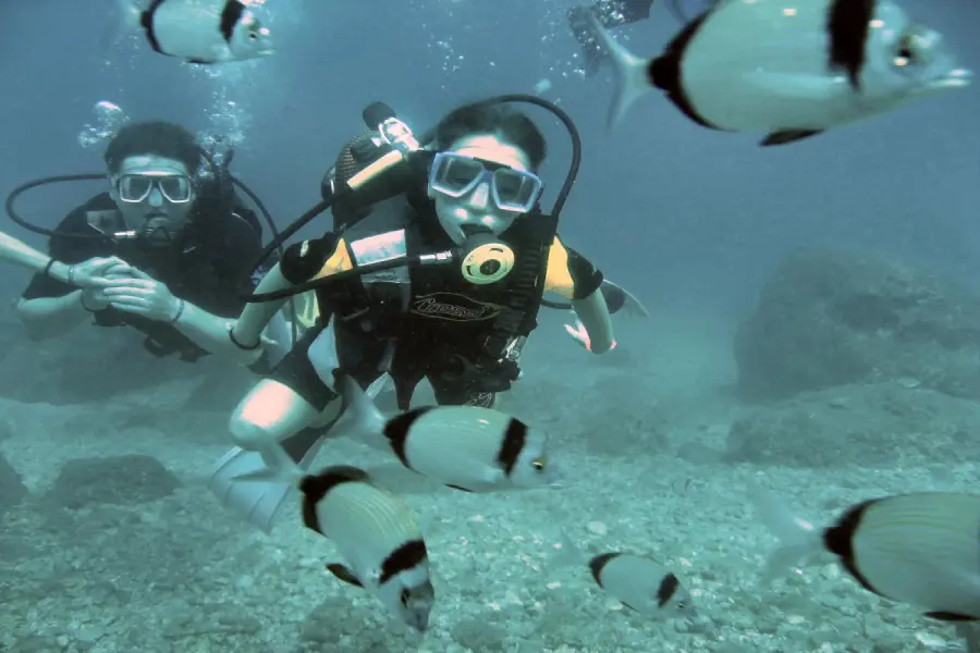 Scuba Diving in Alanya – Discover the Underwater World