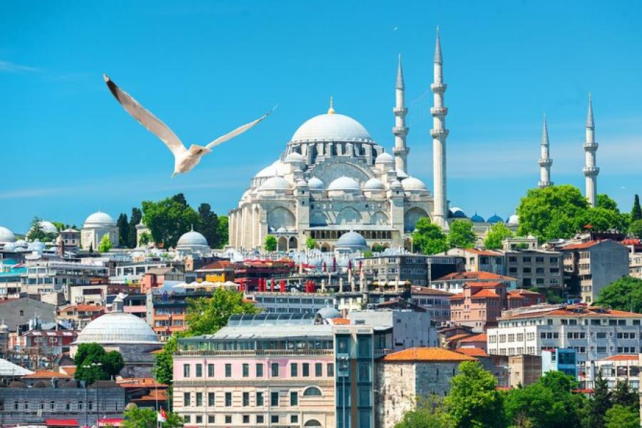 Day Trip to Istanbul from Antalya by Plane: Discover the Heart of Two Empires