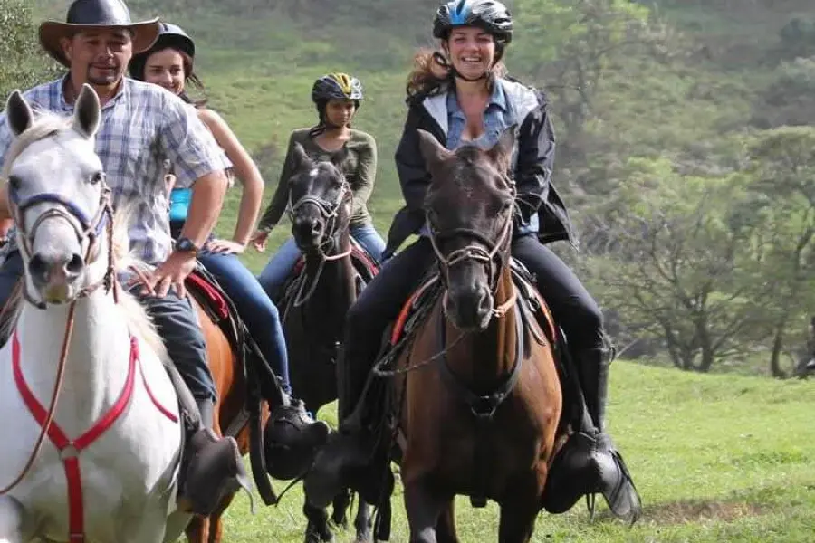 Istanbul Horse Riding Tour