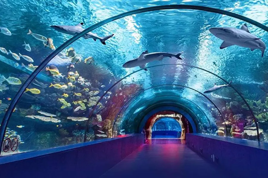 Side to Antalya Aquarium Tour – A Magical Underwater & City Adventure!